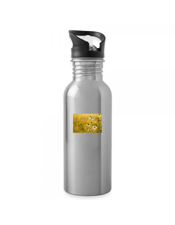 12260 - 20 oz Water Bottle silver