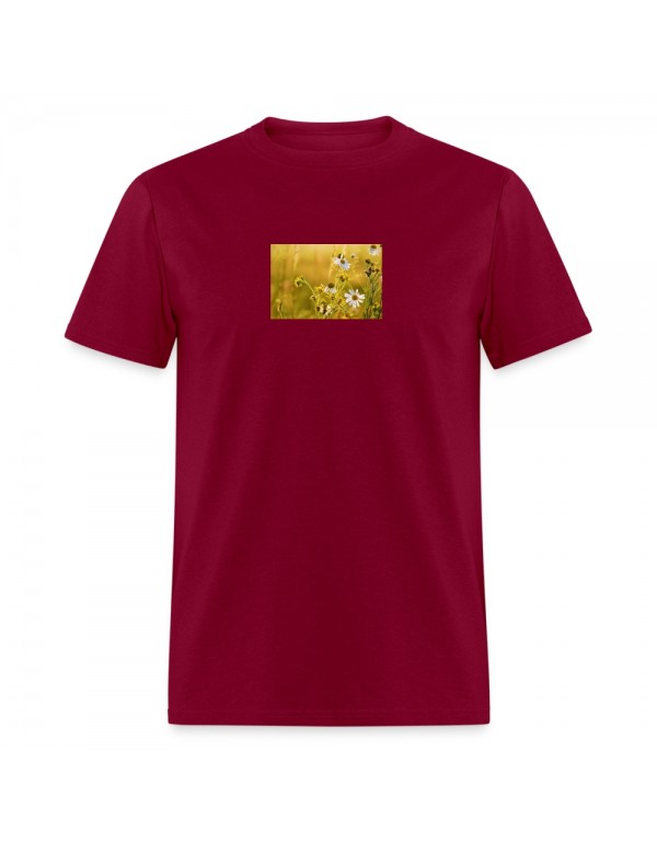 12260 - Men's T-Shirt burgundy